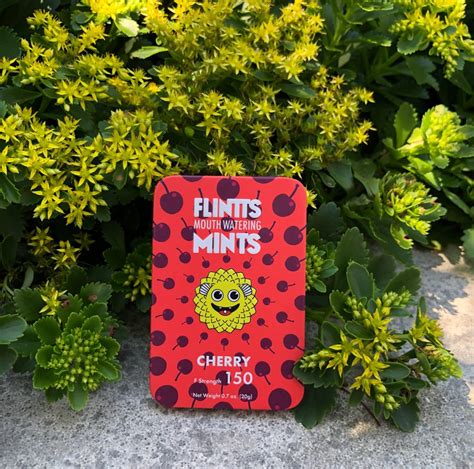 flintts reviews|We Asked 10 People to Try Flintts Mouthwatering Mints